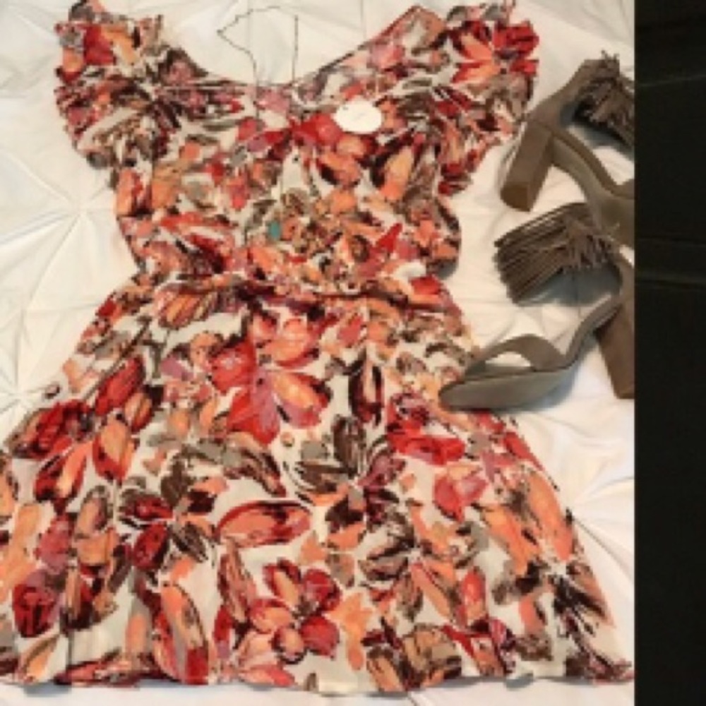 Southern Fried Chics NWT country girl floral dress